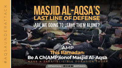 AMP | American Muslims for Palestine